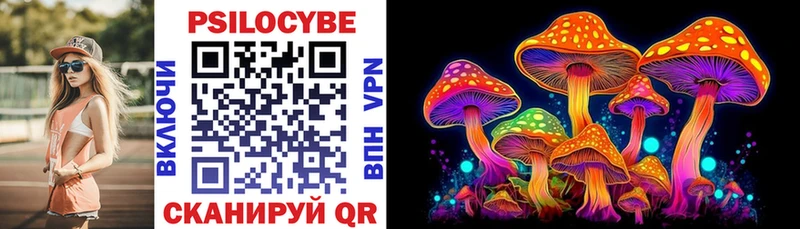 Галлюциногенные грибы Psilocybe  Гвардейск 